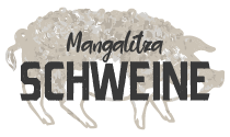 Mangalitza-Schweine